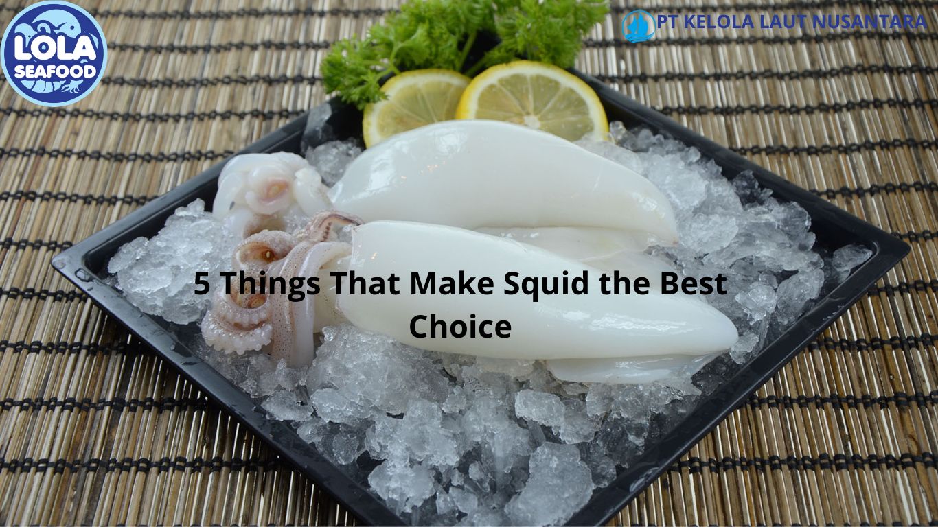 5 Things That Make Squid the Best Choice